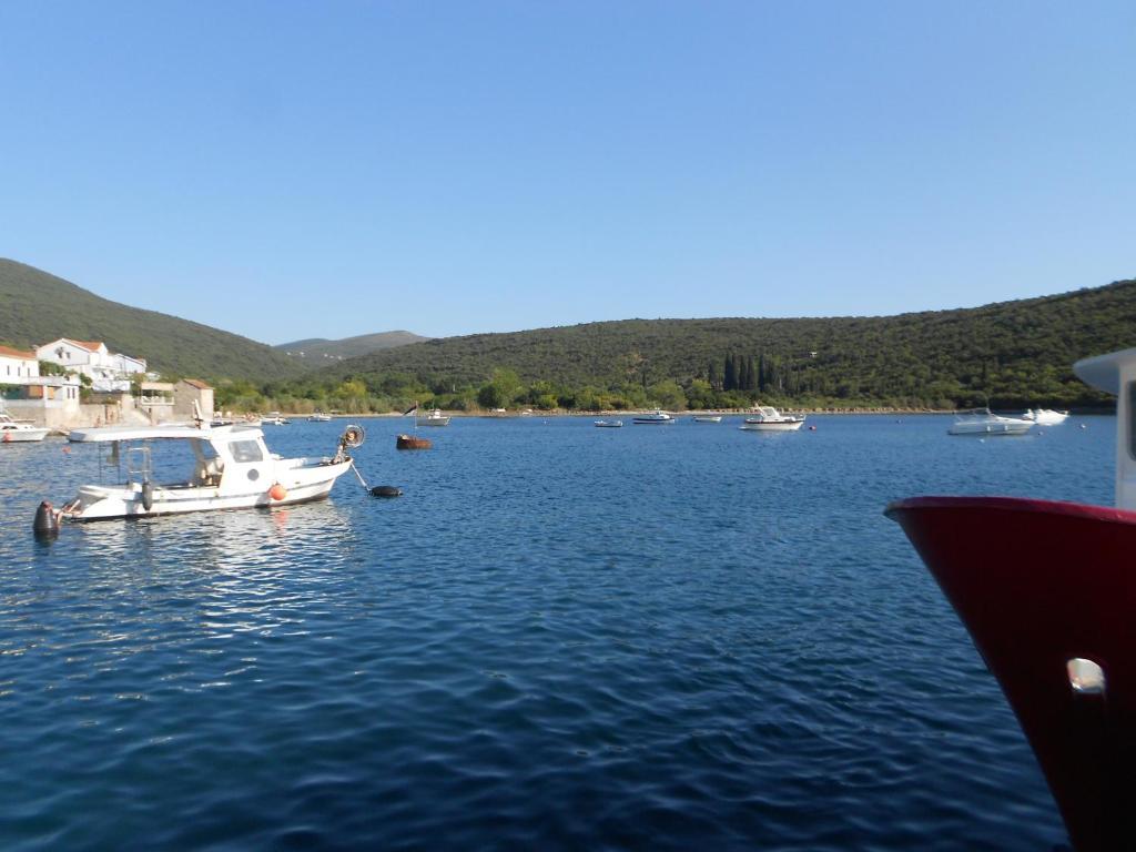 Apartments Vila Lazarevic Tivat Ngoại thất bức ảnh
